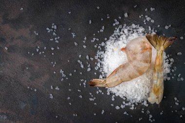 İki Kral karidesi yakın. Gri arka planda tuz. Metin için Boşluk Kopyalama