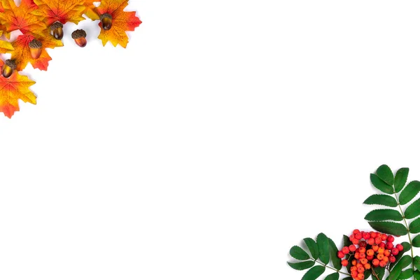 Осенняя концепция выполнена из рябины и ягод, кленовых листьев и желудей на белом фоне. Плоская кладка, вид сверху, копировальное пространство — стоковое фото
