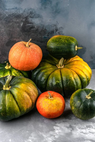 Un montón de diferentes calabazas multicolores sobre fondo de cemento gris. otoño cosecha concepto creativo con espacio de copia — Foto de Stock