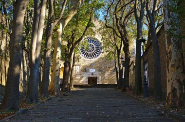 Trieste'deki San Giusto Martire Katedrali