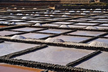 Fuerteventura 'daki Salinas del Carmen' de tuz üretimi