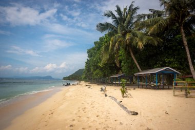 The beach in Papua New guinea clipart