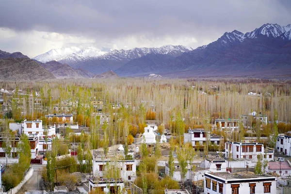 The indian town Thiksey which is build in tibetan style