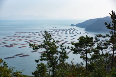 Güney Kore'de su ekimi görünümü