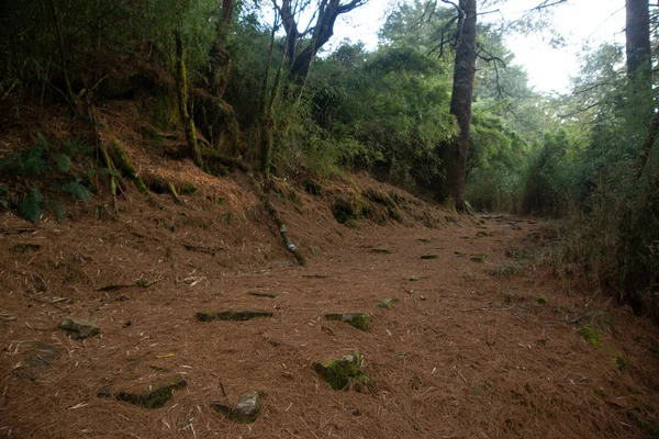 Yushan Ulusal Parkı Tayvan Görüntüle — Stok fotoğraf