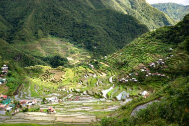 Filipinler'de pirinç terasları ve Banaue köyü