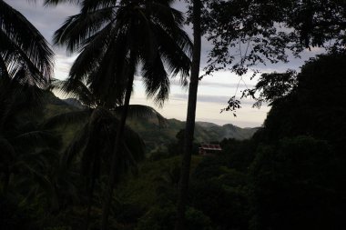 Filipinler doğanın güzelliği 