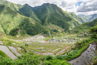 Filipinler'de pirinç terasları ve Banaue köyü