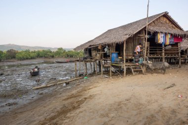 Duya, Myanmar - 24 Şubat 2017: Bambu ev, kadın ve domuz.
