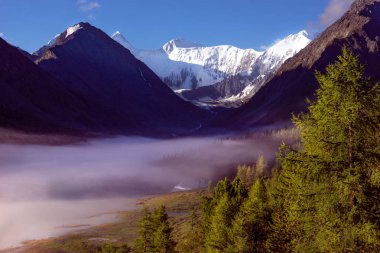 Altay Dağları'ndaki Belukha dağı manzarası