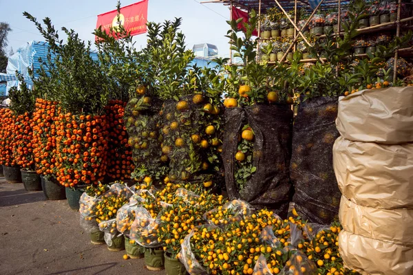 中国の新年への準備 — ストック写真