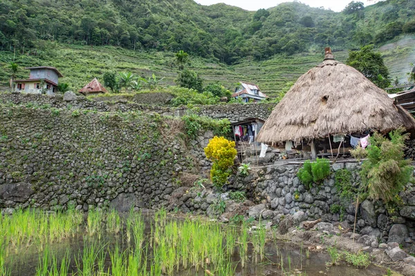 Terrazas Arroz Pueblo Banaue Filipinas —  Fotos de Stock