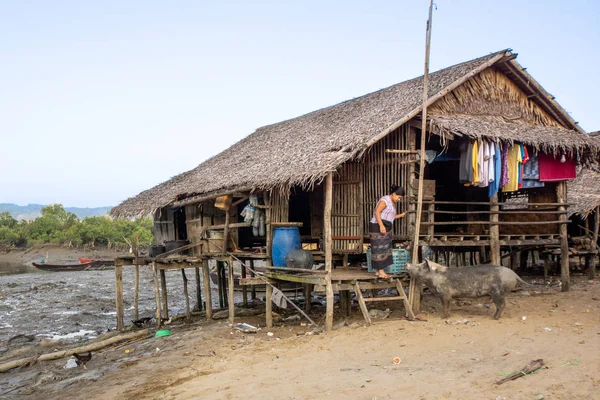 Duya, Myanmar - 24 Şubat 2017: Bambu ev, kadın ve domuz.