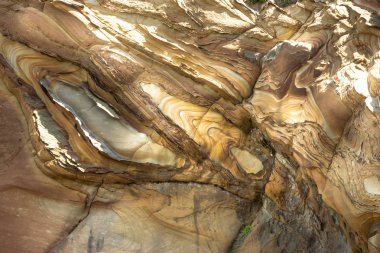 View in Yehliu Geopark, Tayvan.