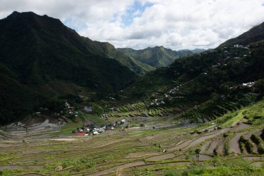 Filipinler'de pirinç terasları ve Banaue köyü