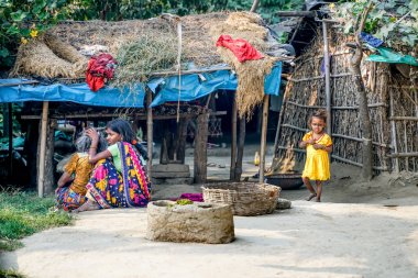 Tosh, Hindistan - 20 Ekim 2018: Tosh köyündegeleneksel evler.