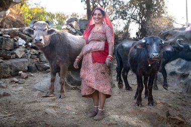 Mount Abu, Hindistan - 12 Şubat 2019: İnekli kadınlar.