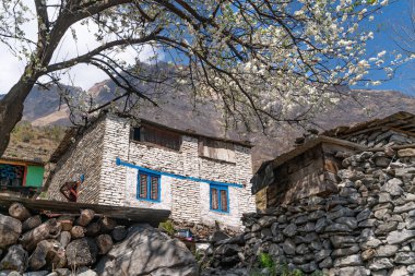 Annapurna patika yolundaki küçük köy, Nepal.