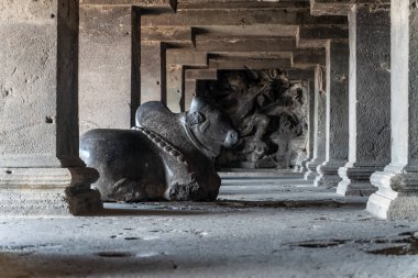 Aurangabad, Hindistan - 6 Şubat 2019: Hindistan'daki eski Hindu mağara tapınağının manzarası