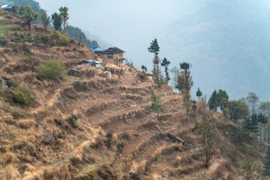Nepal evleri ve pirinç tarlaları