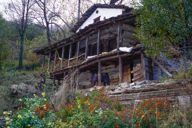 Tosh, Hindistan - 20 Kasım 2018: Tosh'ta geleneksel himachal evi