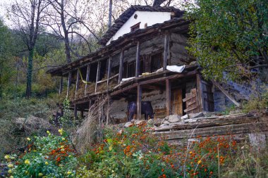 Tosh, India - November 20, 2018: Traditional himachal house in Tosh clipart