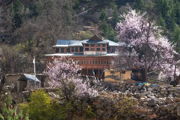 Charang India April 2019 Traditionele Huizen Himachal Pradesh — Stockfoto