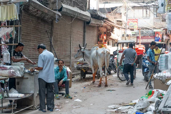Delhi Indie Października 2018 Widok Ulicy Głównej Bazar Indiach — Zdjęcie stockowe