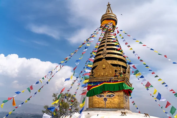 Swayambhu Маха Chaitya Ступа Катманду Непал — стокове фото