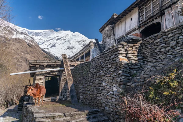 Piccolo Villaggio Sul Sentiero Dell Annapurna Nepal — Foto Stock