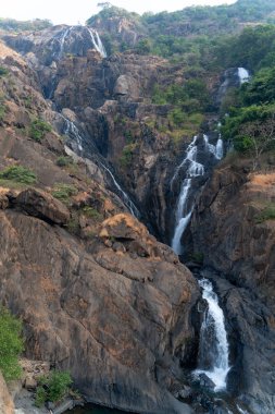 Goa'daki Dudhsagar Şelalesi, Hindistan.