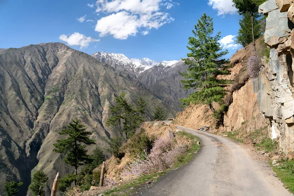 View Bharmour Village India — Stock Photo, Image