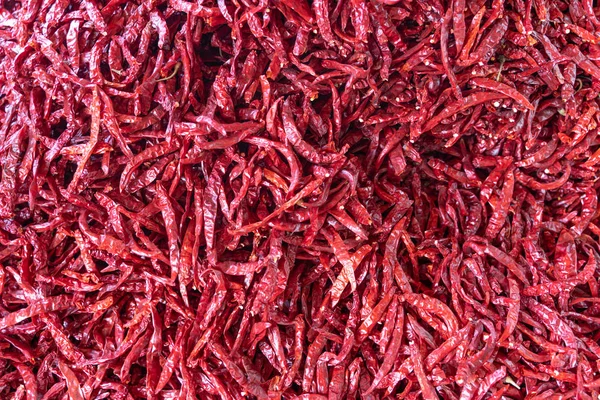 Pimienta Roja Presentada Mercado Local India — Foto de Stock