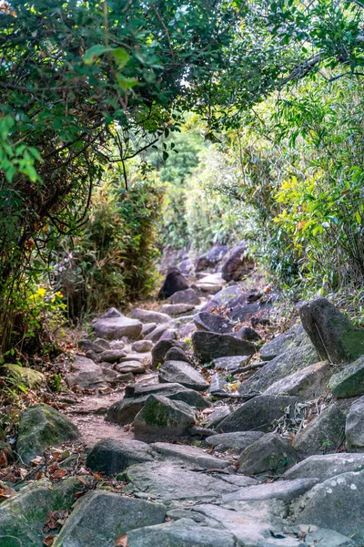 Όμορφη Ηλιόλουστη Πεζοπορία Στο Sai Kung East Country Park Στο — Φωτογραφία Αρχείου