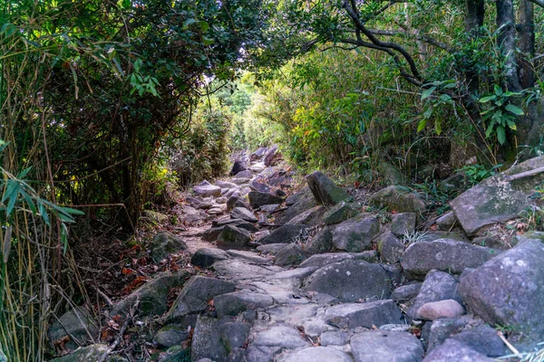 Bela Estrada Caminhadas Ensolarada Sai Kung East Country Park Hong — Fotografia de Stock