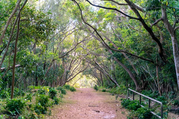 Hermosa Carretera Senderismo Soleado Sai Kung East Country Park Hong — Foto de Stock