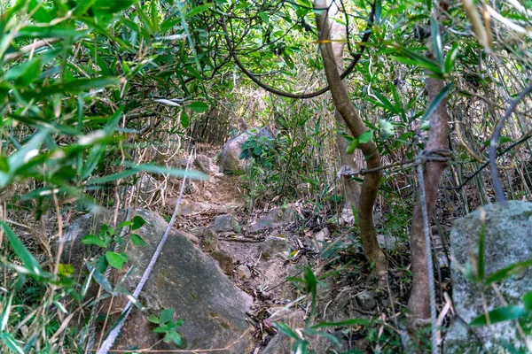 Piękna Słoneczna Droga Wędrowna Sai Kung East Country Park Hong — Zdjęcie stockowe