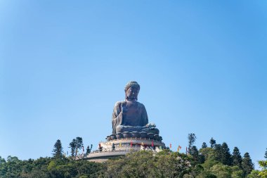 Tian Tan Buda heykeli Hong Kong 'daki Lantau Adası' ndaki Po Lin Manastırı 'nın yanında.