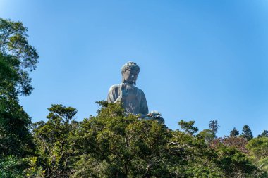 Tian Tan Buda heykeli Hong Kong 'daki Lantau Adası' ndaki Po Lin Manastırı 'nın yanında.