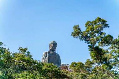 Tian Tan Buda heykeli Hong Kong 'daki Lantau Adası' ndaki Po Lin Manastırı 'nın yanında.
