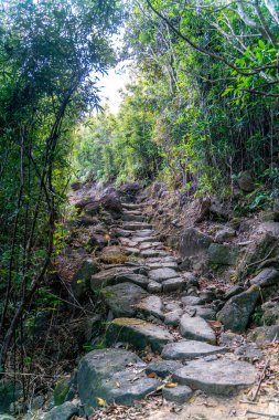 Hong Kong 'daki Sai Kung Doğu Şehir Parkı' ndaki güneşli yürüyüş yolunda.