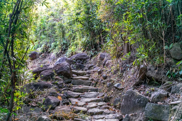 Hong Kong Daki Sai Kung Doğu Şehir Parkı Ndaki Güneşli — Stok fotoğraf