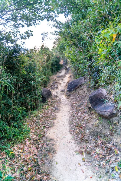 香港西贡东郊野公园美丽而阳光明媚的远足道路 — 图库照片