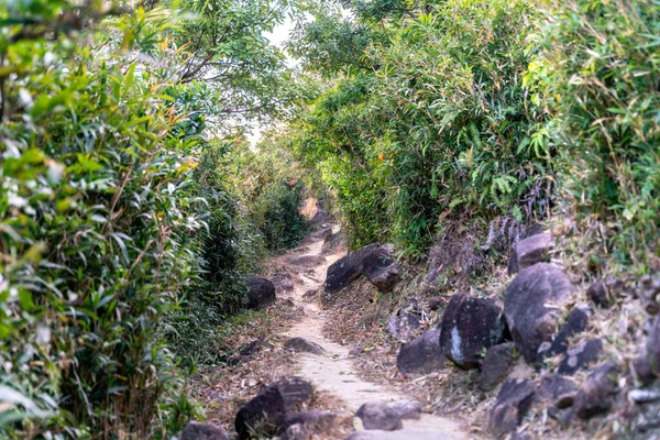 Hermosa Carretera Senderismo Soleado Sai Kung East Country Park Hong — Foto de Stock