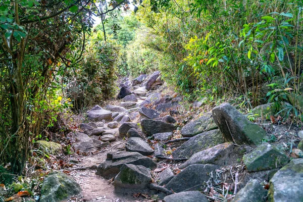 Belle Route Randonnée Ensoleillée Sai Kung East Country Park Hong — Photo