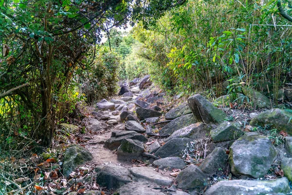 Bela Estrada Caminhadas Ensolarada Sai Kung East Country Park Hong — Fotografia de Stock