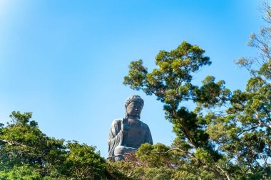 Tian Tan Buda heykeli Hong Kong 'daki Lantau Adası' ndaki Po Lin Manastırı 'nın yanında.