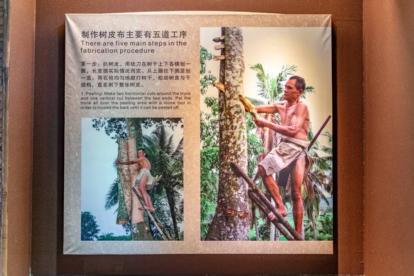 Sanya Hainan Chine 2020 Exposition Culture Traditionnelle Robe Bois Faite — Photo