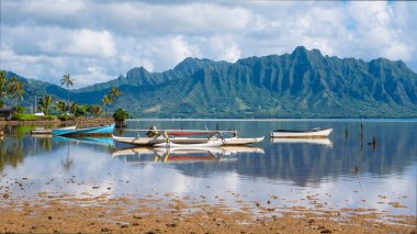 Kaneohe Körfezi'nde Mükemmel Bir Gün, Oahu, Hawaii