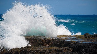 Oahu Hawaii'nin güney sahilinde bir kayaya çarpan bir dalga.